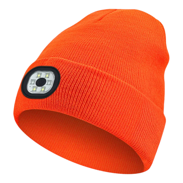 Holiday LED Light Up Beanie