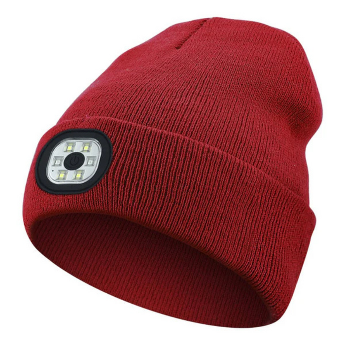 Holiday LED Light Up Beanie