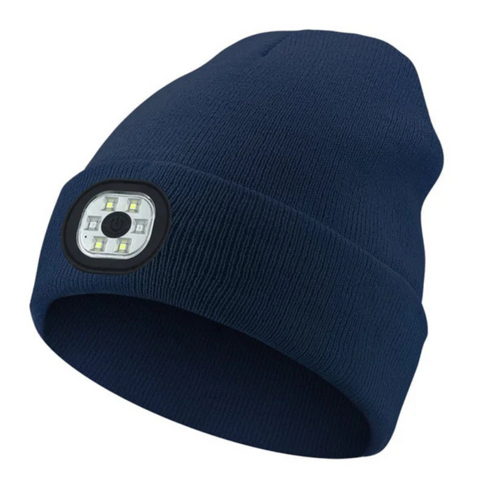 Holiday LED Light Up Beanie