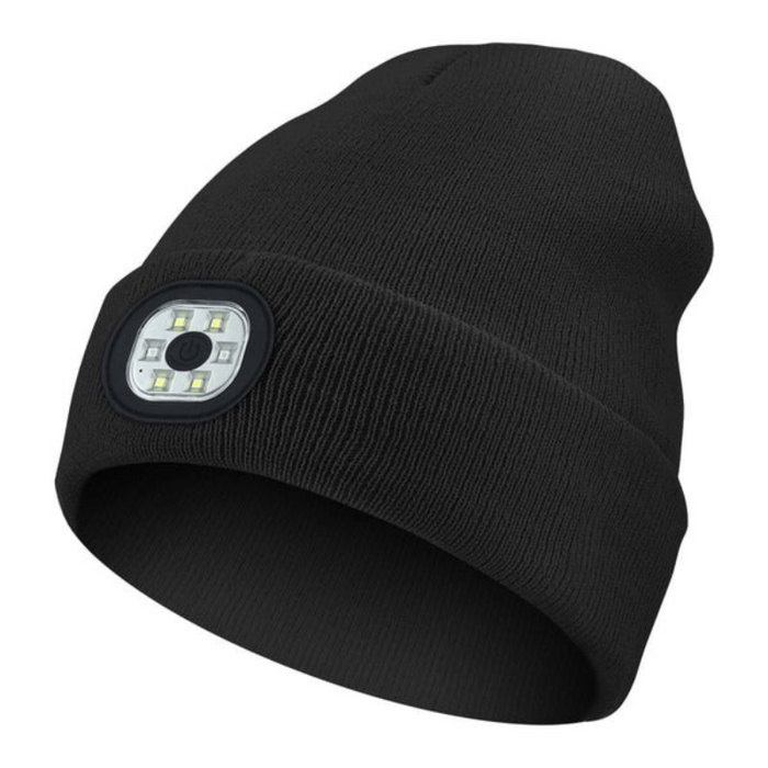 Holiday LED Light Up Beanie