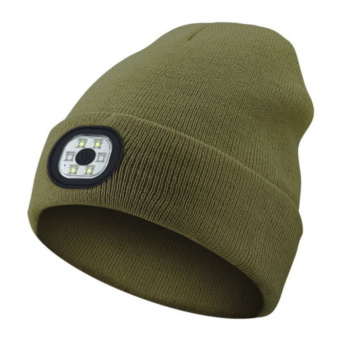 Holiday LED Light Up Beanie